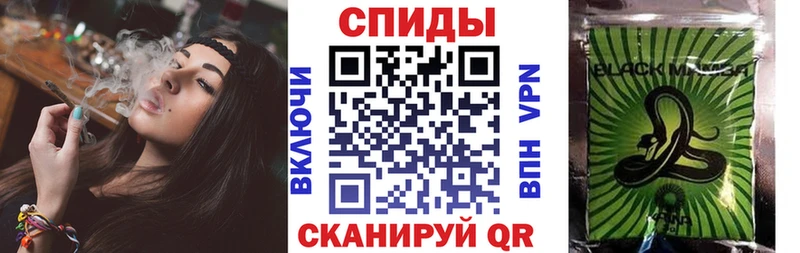 Купить  Черноголовка  Бутират 1.4BDO 