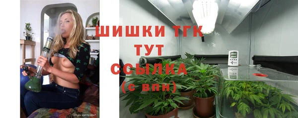 прущие грибы Арсеньев