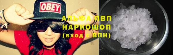 прущие грибы Арсеньев