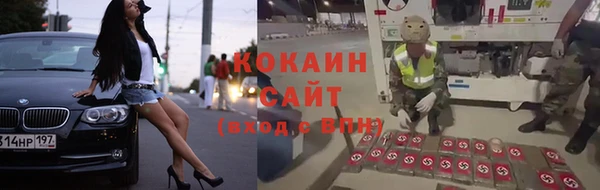 прущие грибы Арсеньев