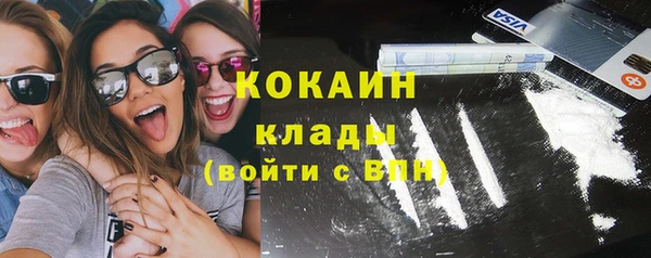 прущие грибы Арсеньев