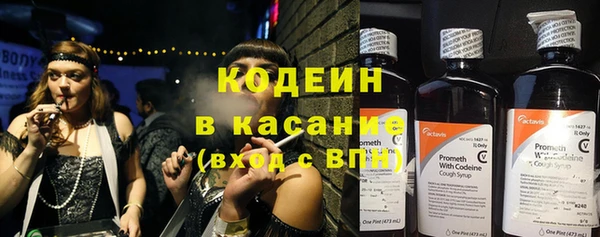 прущие грибы Арсеньев